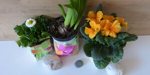 DIY-Blumentöpfe von meiner Tochter