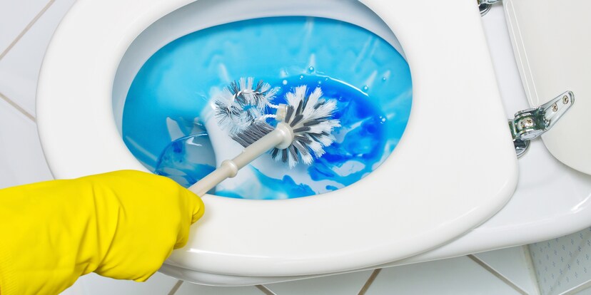 Die Burstenfalle Galaxus