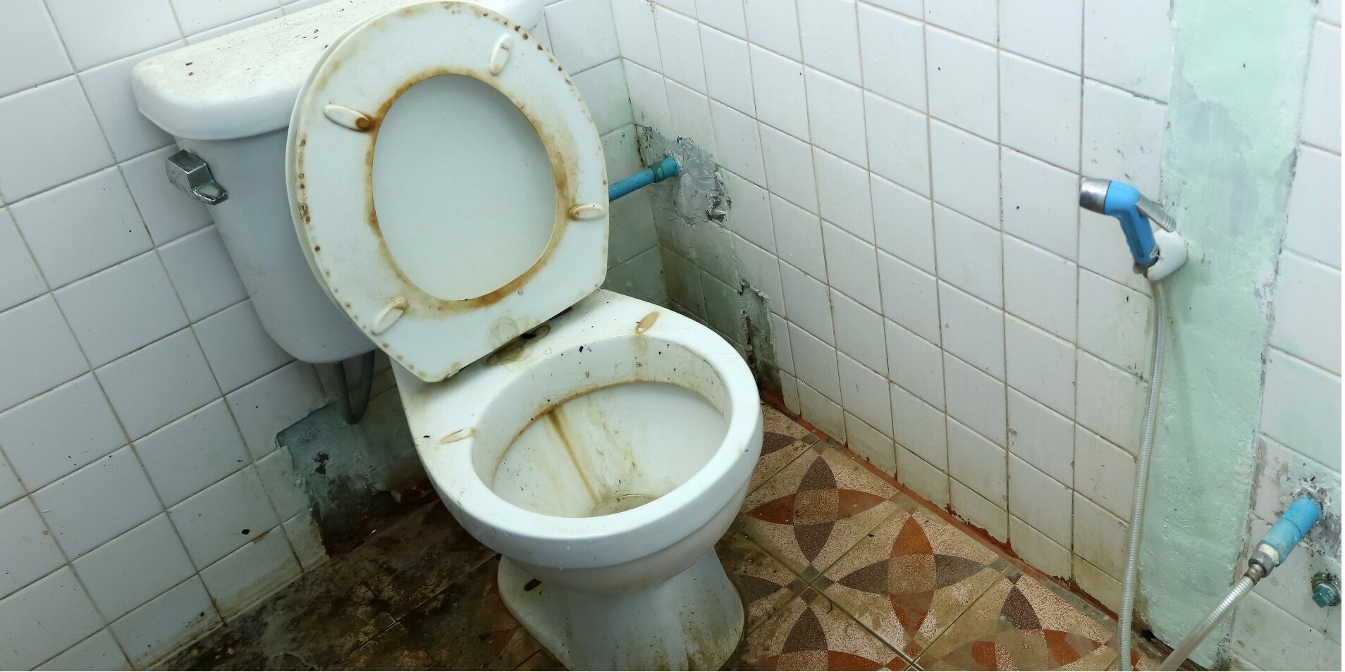 Scheisse Bewegt Zur Kulturgeschichte Der Toilette Und