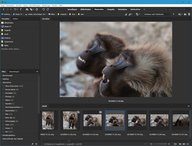 RAW- und DNG-Dateien anschauen: Die Ansicht «Filmstreifen» eignet sich zum Sichten eines ganzen Ordners.