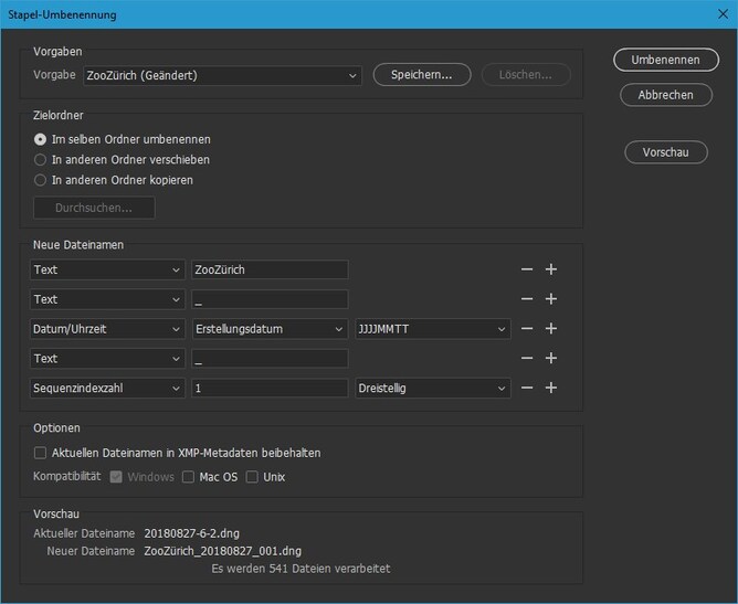 Die Stapel-Umbenennung kann die Zeit auf die Millisekunde genau in den Namen schreiben.