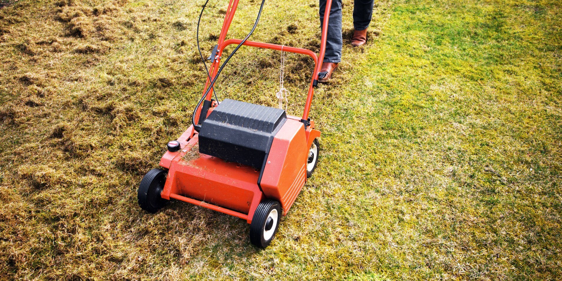 Rasenpflege im Frühjahr – 7 Tipps um dein Grün fit zu machen - Galaxus