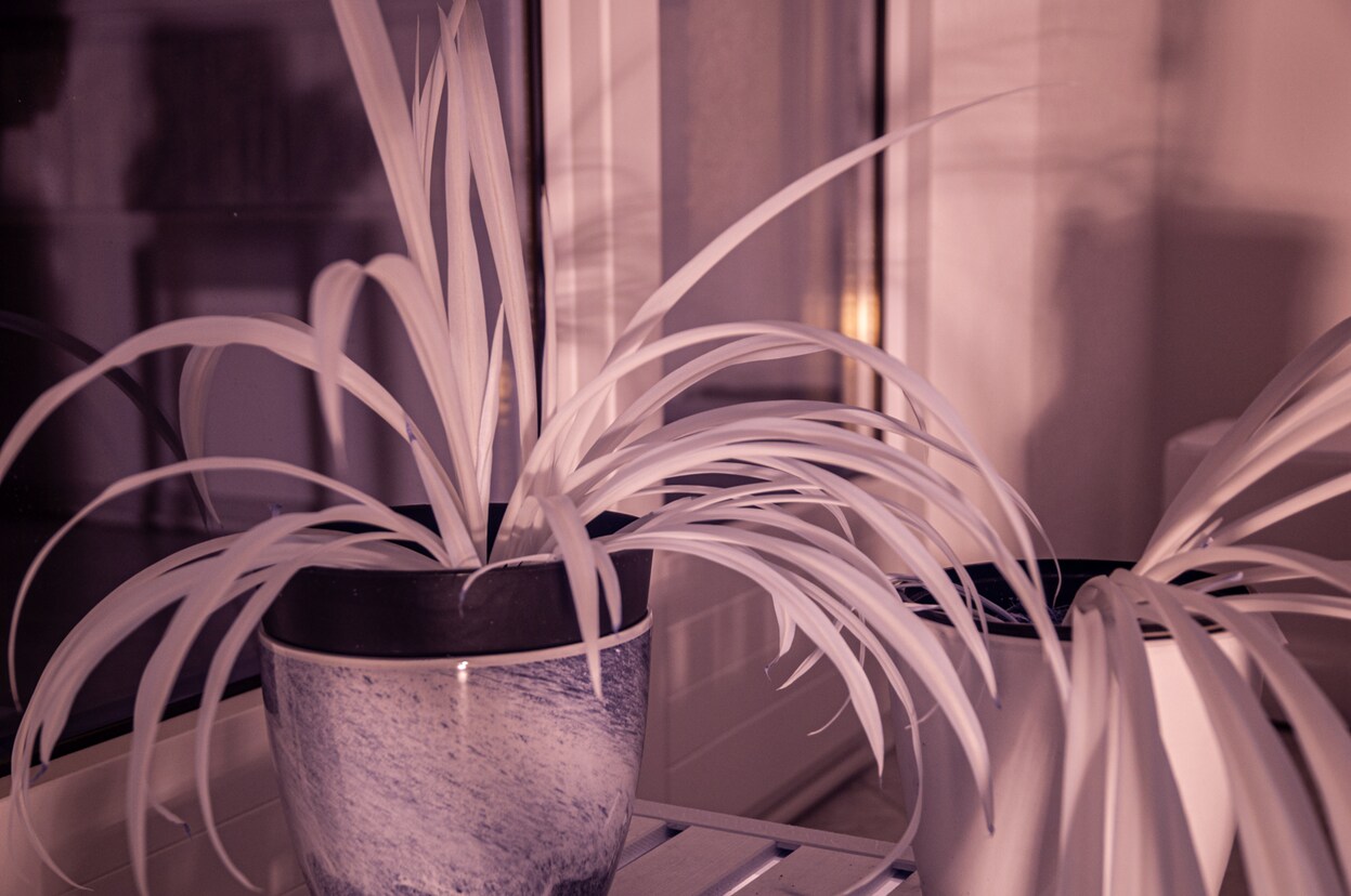 Teardown Ich Bastle Mir Eine Infrarotkamera Digitec