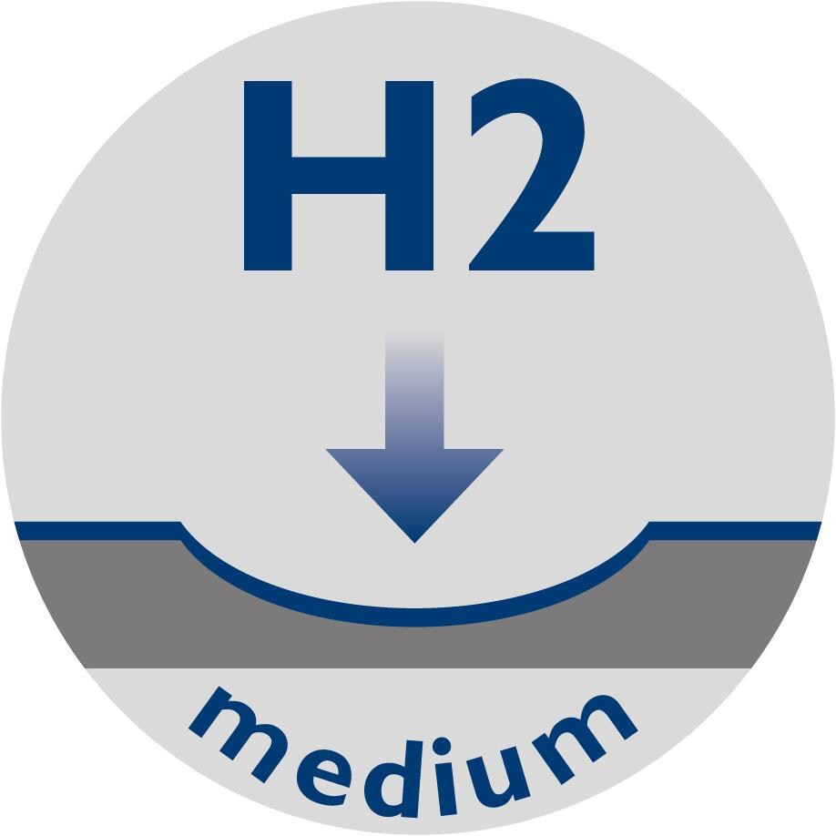 H2_blau_4c