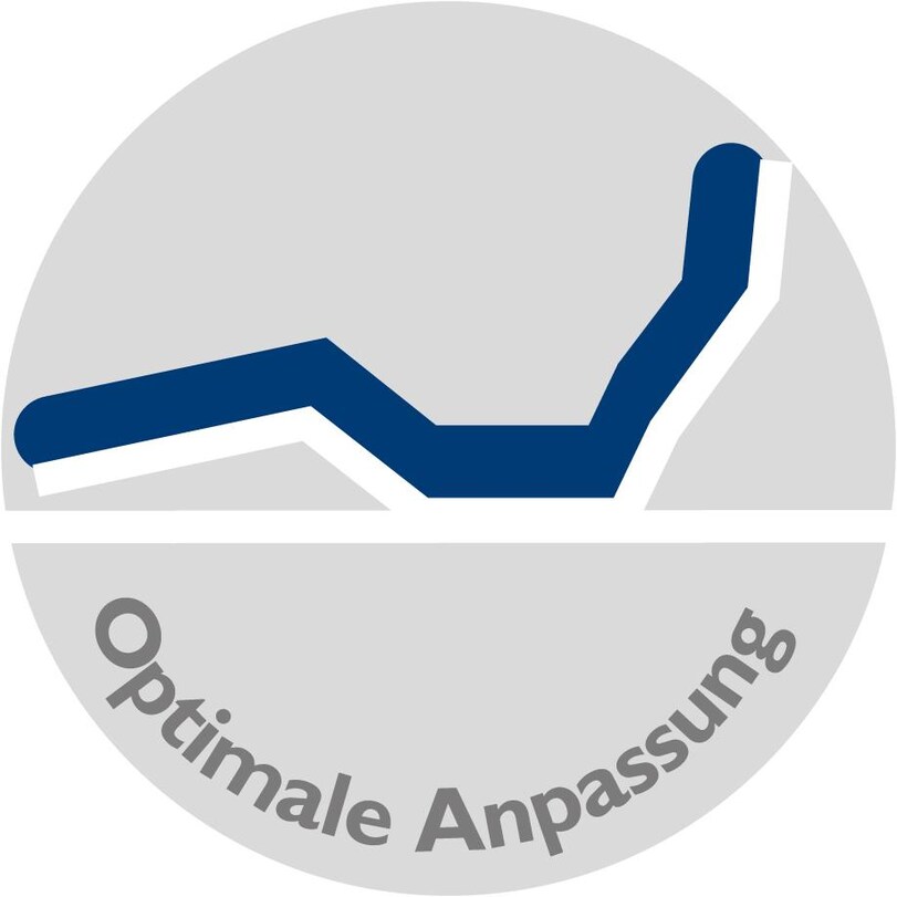 OptimaleAnpassung_4c