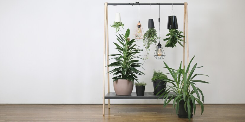 «Do it Yourself»-Projekt: Kleiner Indoor-Garten - Galaxus