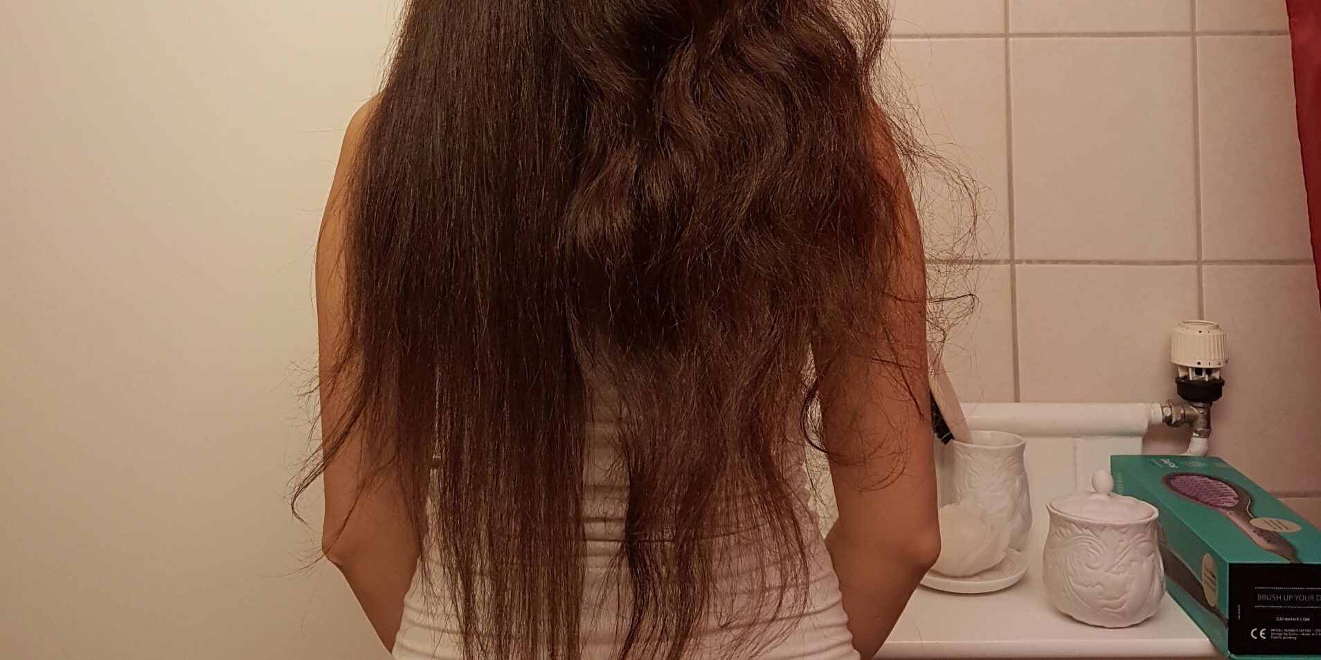 elektrische dafni haarburste im test