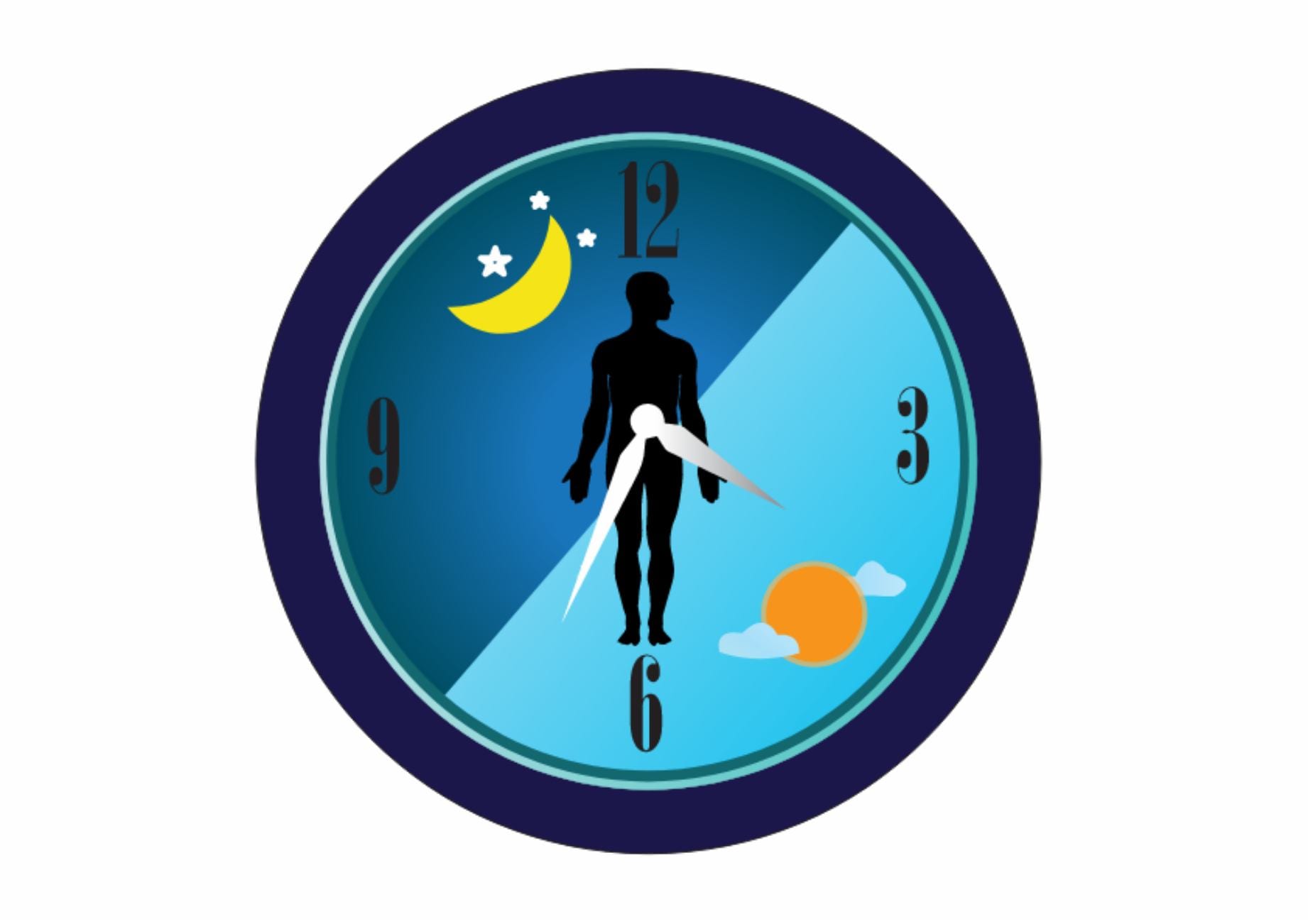 Interview with a chronobiologist how do our internal clocks work? Galaxus