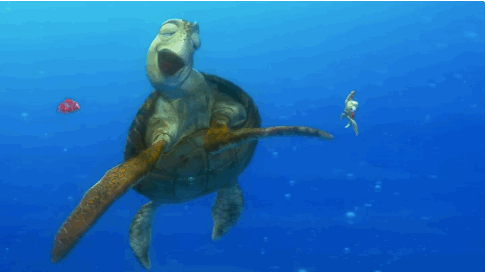 Die 6 Besten Schildkroten Ever Galaxus