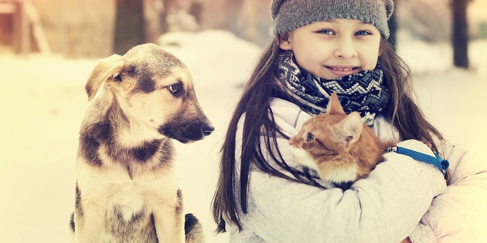 Just like us, our furry friends also perfer staying warm in the winter months. Just like us, our furry friends also perfer staying warm in the winter months.
