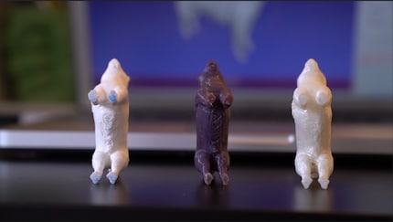 The belly of the Digidogs reveals where the support structures left traces