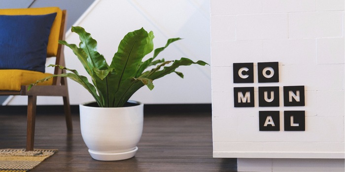 Navire avec plante d'intérieur