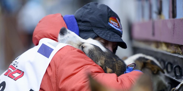 Die Hunde und Musher bilden eine verschworene Einheit – eine überlebenswichtige Symbiose für das Iditarod Die Hunde und Musher bilden eine verschworene Einheit – eine überlebenswichtige Symbiose für das Iditarod