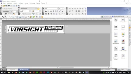Die Professional-Oberfläche ist etwas chaotischer, lässt sich aber nach Eingewöhnung besser bedienen.