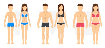  Ectomorfica, mesomorfica, endomorfica (da s. a d.)