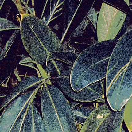 ... mais c’est bien un tapis tissé fil par fil. Photos: Schönstaub