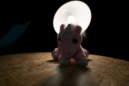 The unicorn with light coming from the back.