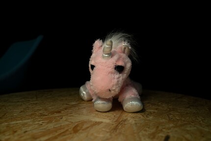 The unicorn with light coming from behind the camera.