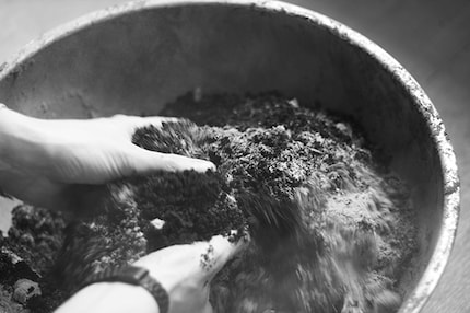 Immagini: Gorilla Gardening