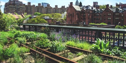 Guerrilla o oggi probabilmente più urban gardening su vecchi binari ferroviari.