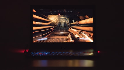 144 Hz-Display mit einer Auflösung von 1920 x 1080 Pixel und Nvidia G-Sync.