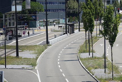 Con teleobiettivo massimo