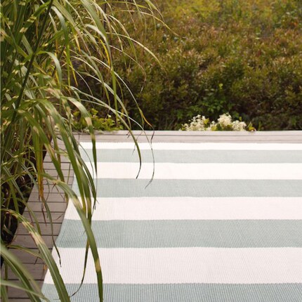 Photos: Dash & Albert