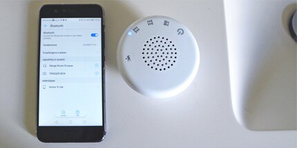 Photo taken just before getting down to business.