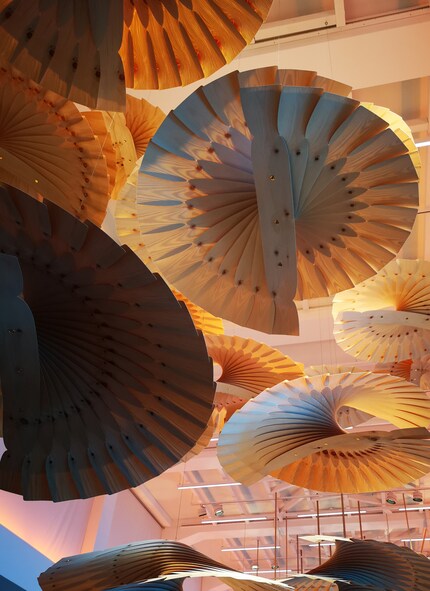 Fächer aus hauchdünnen Holzflächen in unterschiedlichen Grössen, Zürich 2018