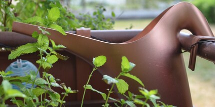 Die Giesskanne ist für mein Empfinden richtig gut geworden.