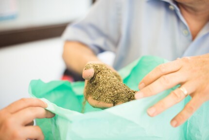 Tendenza al locale: il vermut contiene erbe svizzere.