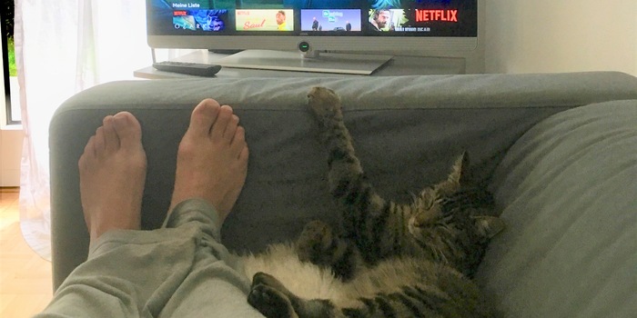 In guter Gesellschaft