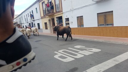 Ehm…ciao? Strada a senso unico! Ai tori di Pucol non importa.
