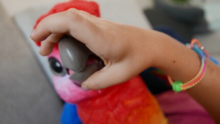 Ecoute-moi bien, Pauli!