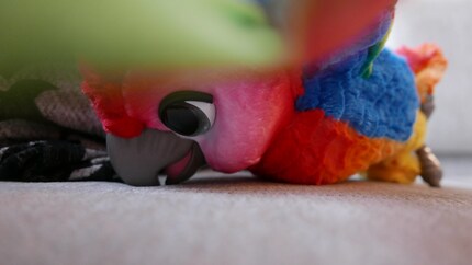 Les crashs n'impressionnent pas Pauli