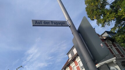 Nouvelle : le bétail me suit aussi en privé.