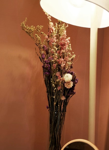 Aster ou immortelle, lilas de mer