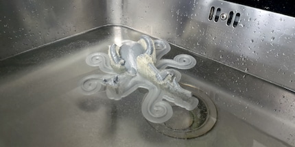 Il Rocktopus nel suo elemento.