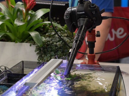 Im Wasser erweist sich die Bauform des Objektivs sogar als praktisch.