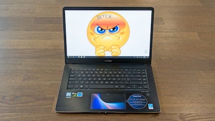 L'Asus viene fornito senza touchscreen e modalità tablet, ma con uno ScreenPad.