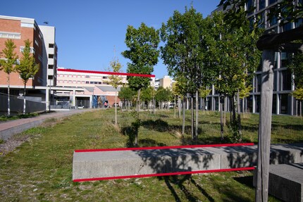 La caméra est droite, mais les lignes sont obliques à cause de la perspective