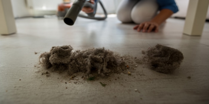 Peut même contenir des traces de particules extraterrestres : La poussière domestique contient plus de choses que tu ne le penses. Peut même contenir des traces de particules extraterrestres : La poussière domestique contient plus de choses que tu ne le penses.