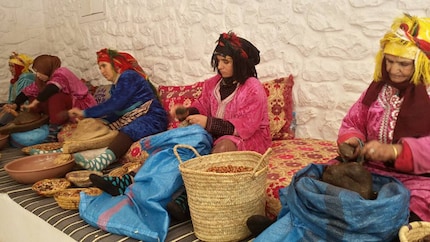 La récolte et le pressage par les femmes sont une tradition marocaine de longue date.