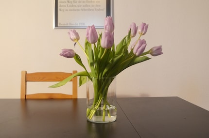 So sehen die Blumen vor der Zuckerbehandlung aus.
