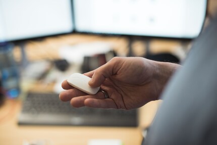 Mein kleiner weisser Freund ist ein Handschmeichler.