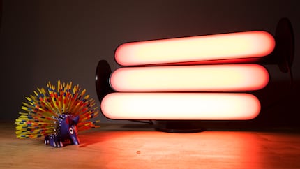 An alebrije in the sunset. Beautiful.