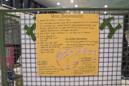 The team manifesto. No. 1 (every team member is important) doesn’t apply for me, but I was welcomed with open arms.