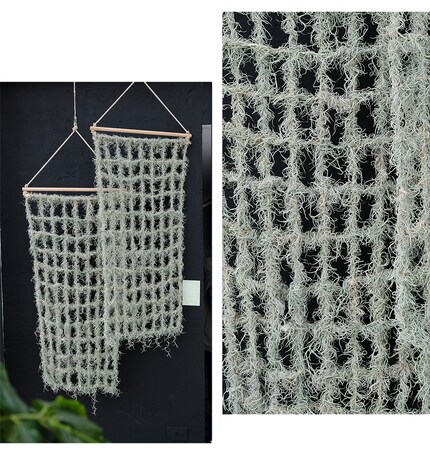 «Design Studio Ainhoa Garmendia» hat einen Weg gefunden, kaputte Netze zu reparieren. Mit Luftpflanzen werden sie zum Raumteiler, der weiterwachsen kann.