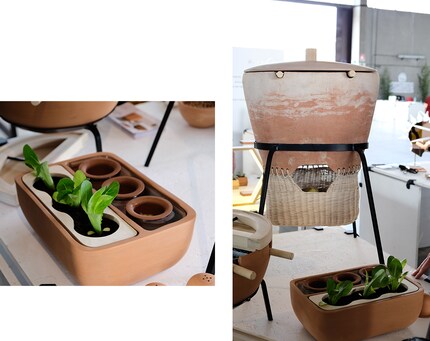 Zero Waste: la designer Alma Eterea ha sviluppato un sistema che utilizza gli avanzi di cibo per favorire la crescita di piante