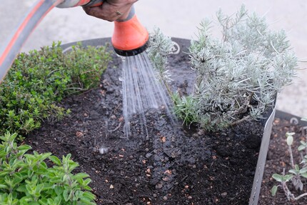 Keine Angst vor üppigem Wässern.
